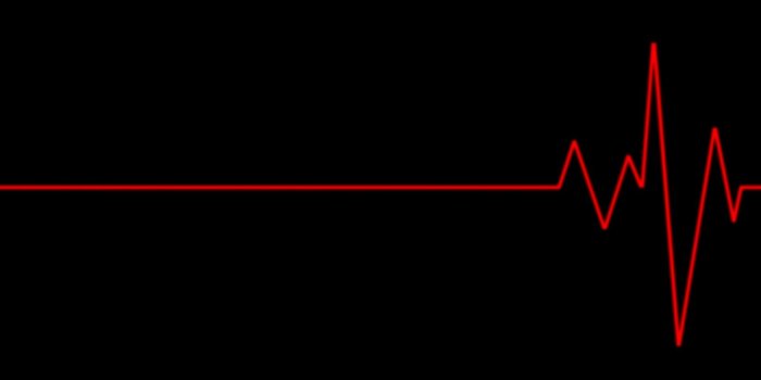 1600x1200 wallpaper-4-heart-beat-red-and-black-wallpapers.jpg | blurppy