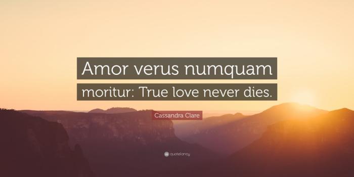 1600x900 Cassandra Clare Quotes (100 wallpapers) - Quotefancy