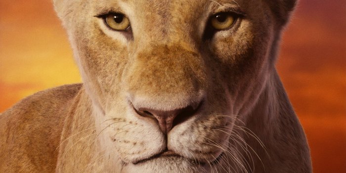 3376x1899 Beyonce As Nala The Lion King 2019 4k, HD Movies, 4k Wallpapers