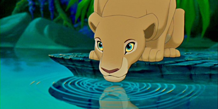 2560x1434 Best 49+ Nala Wallpaper on HipWallpaper | Nala The Lion King