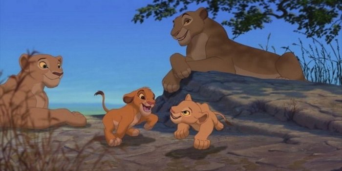 1920x1080 Simba Wallpaper (68+ images)