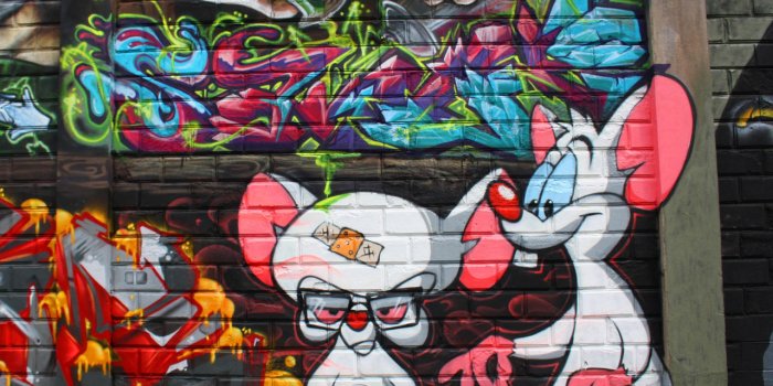 1280x800 Animal Graffiti Wallpaper Street Art Wallpaper - Wallpapers Browse