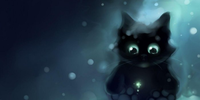1280x960 Wallpapers Black Cat