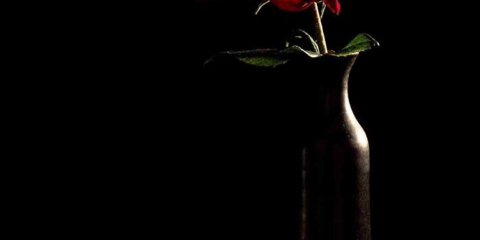 1340x1975 Black and Red Rose Wallpapers - Top Free Black and Red Rose