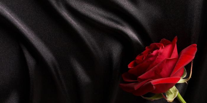 1920x1080 Black and red rose wallpaper download black silk wallpaper on