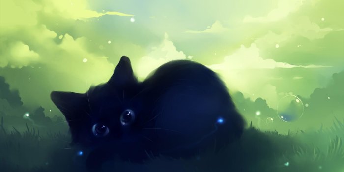1920x1200 Wallpapers Black Cat (69+ background pictures)