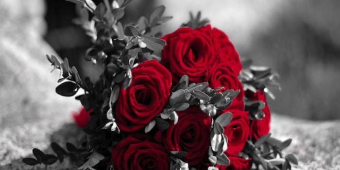 1440x1080 Black And White Rose Wallpaper - Red Black And White Roses, Hd