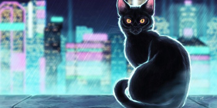 1332x850 Wallpaper Black, Figure, The city, Neon, Cat, Rain, Art