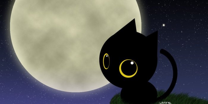 1131x707 Cute Black Cat Halloween Wallpaper - Wallpapers Browse
