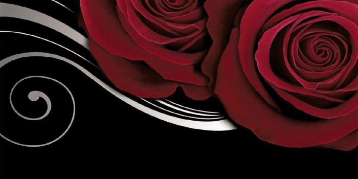 1200x800 Wallpapers mural red roses on black background with white ornament