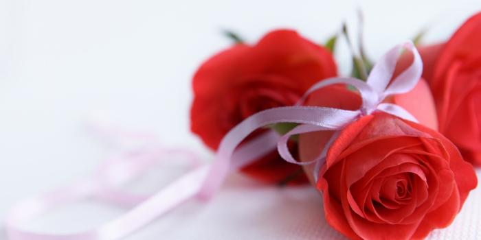 2560x1600 Black and White Rose Wallpaper ·① WallpaperTag