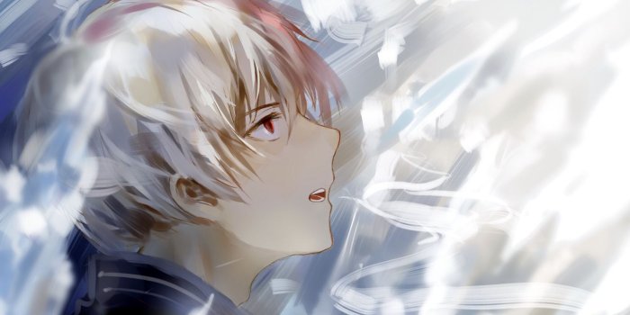 1600x1200 Download 1600x1200 Wallpaper Shouto Todoroki, Boku No Hero Academia