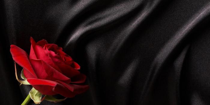 1920x1080 Black And Red Rose Wallpaper Group (48+), HD Wallpapers