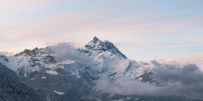 2524x2524 Snow blown winter wallpapers