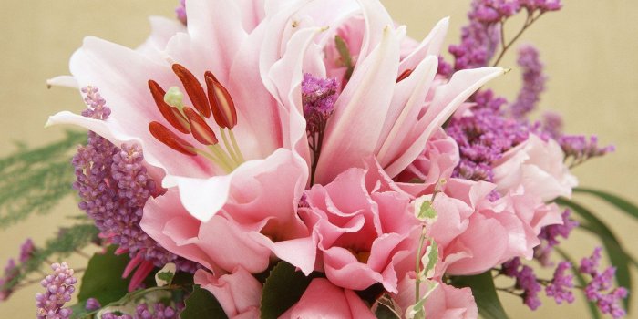1600x1200 Prettiest Flower in the World | The most beautiful Flower Wallpapers