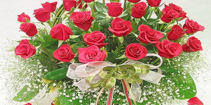 1024x768 World's most beautiful flowers wallpapers | SCD Recipes | Beautiful