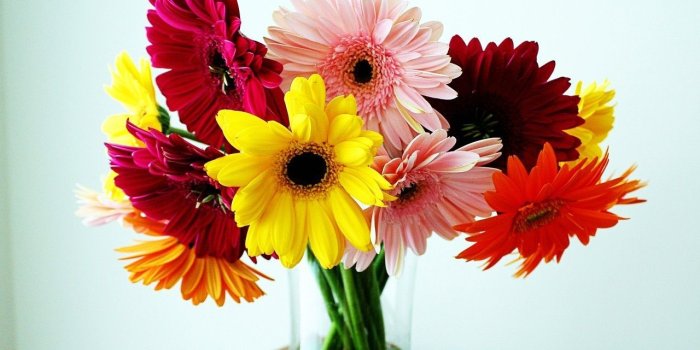 1280x959 25 Plus Most Beautiful Flowers Of The World | Flowers | Beautiful