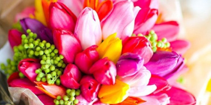 1360x905 45+ Beautiful Flowers Wallpapers - Download at WallpaperBro