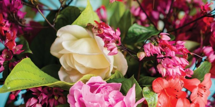 1000x1498 500+ Bouquet Pictures [HD] | Download Free Images on Unsplash
