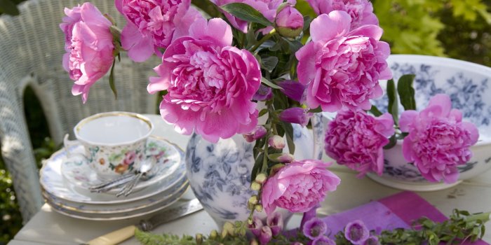 2122x1415 55 Best Types of Flowers – Pretty Pictures of Garden Flowers