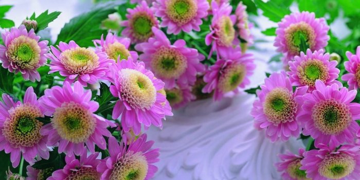 1440x900 Flowers Background Pictures For Desktop Free Download HD, Background