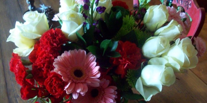 1600x1200 Susan Crabtree: Most Beautiful Flowers in the world