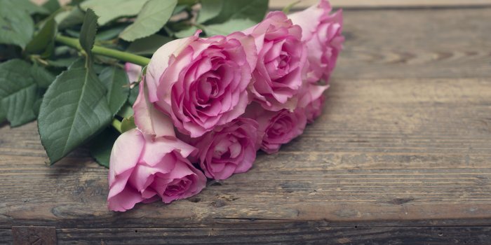3863x2578 16 Romantic Flower Meanings - Symbolism of Different Kinds of