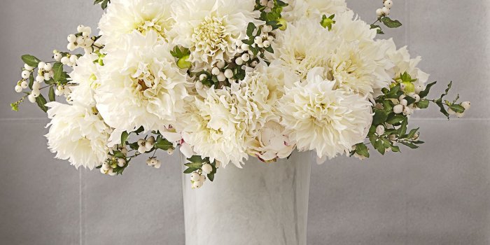 1634x2000 15 Best Winter Flower Arrangements - Gorgeous Winter Flowers & Plants