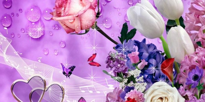 1280x720 Images of flowers/flowers images free download/Beautiful flowers  images/Hd/Pc/Mobile/Photos/whatapps