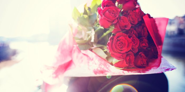 2880x1800 Most Beautiful Flowers Wallpaper For Laptop