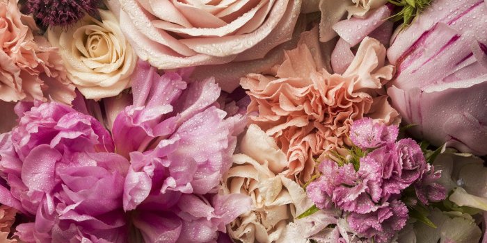 1200x900 The Best Floral Instagram Accounts to Follow