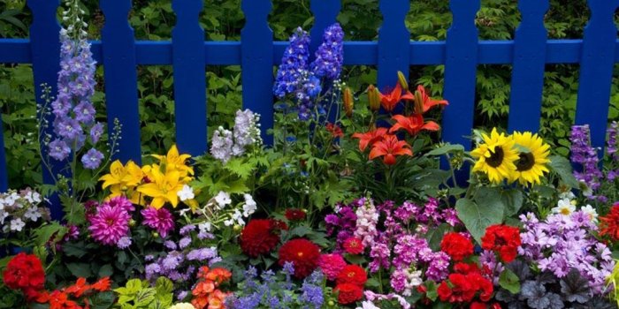 1024x768 Pictures Of Beautiful Flowers Gardens - Flowers Healthy