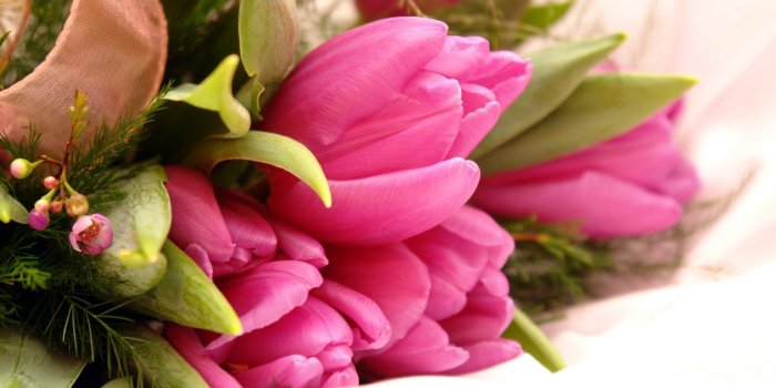 1920x1080 Most Beautiful Flowers Wallpapers 1920x1080