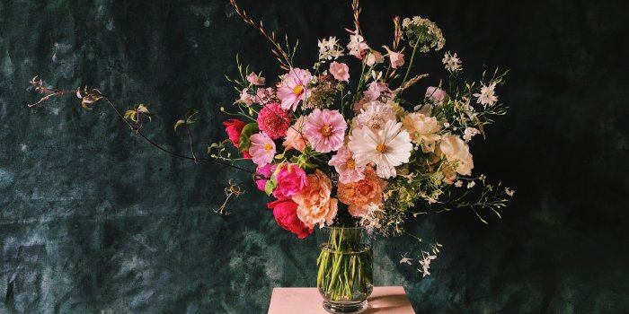 4032x2688 The South's Most Iconic Flowers