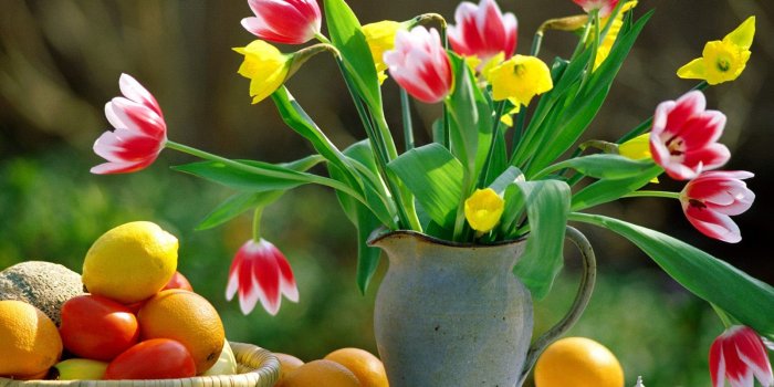 1600x1200 Most Beautiful Flowers Wallpapers For Desktop