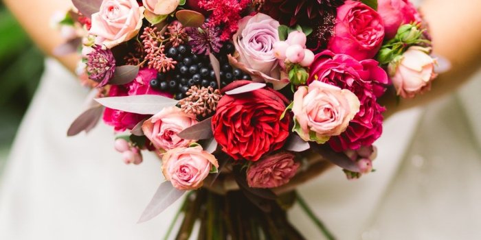 1080x1620 Best 100+ Flower Images [HQ] | Download Free Flower Pictures on Unsplash