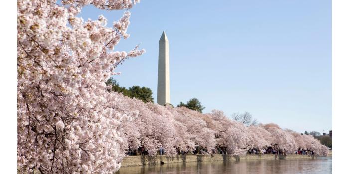 3840x2160 Washington, D.C. Wallpapers