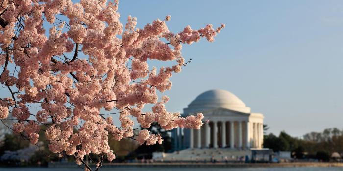 1920x1080 10 Things You Should Do In Washington, D.C. - Southern Living