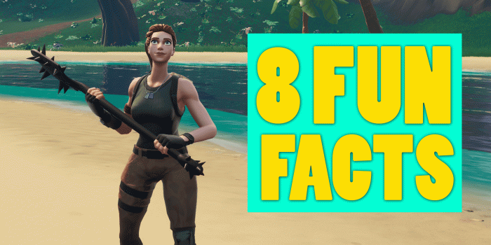 1920x1080 8 Funny Facts About Fortnite - Gamer Empire