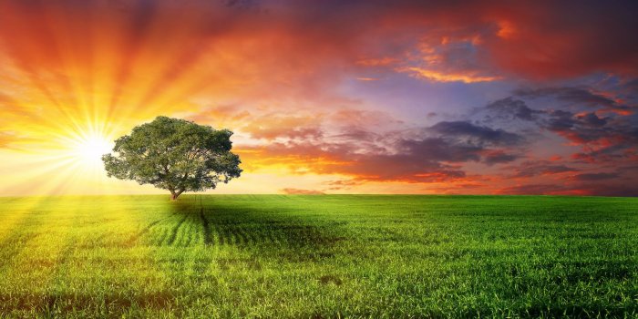 2600x1700 Rays of Sunshine Wallpaper | Free a ray of sunshine wallpaper