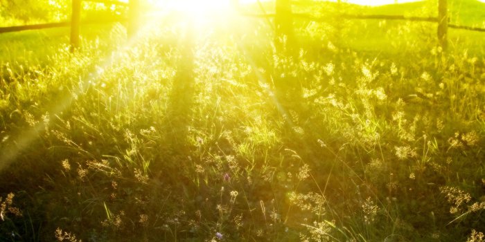 1920x1080 Sun Rays Wallpaper #6871154