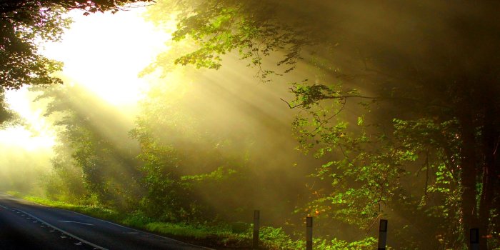 1920x1200 Sun Rays 29816 1920x1200px