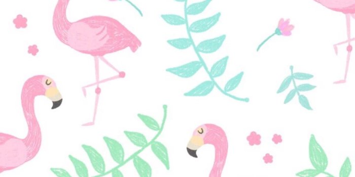 1200x2133 iPhone Wallpaper | Flamingo, Pink, Bird, Greater flamingo, Water