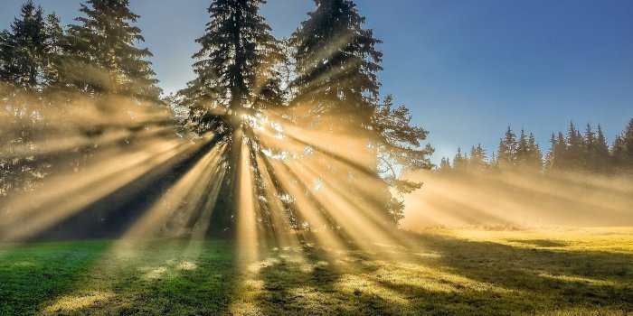 1920x1080 Sunlight, Sunbeam, Sunshine, Sun Ray, Rays, Sunbeams, - Wallpaper