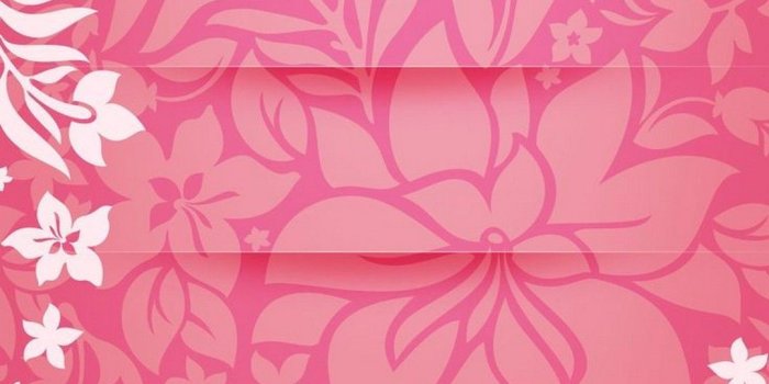 1080x1920 Top 10 Punto Medio Noticias | Iphone Wallpaper Girly And Cute