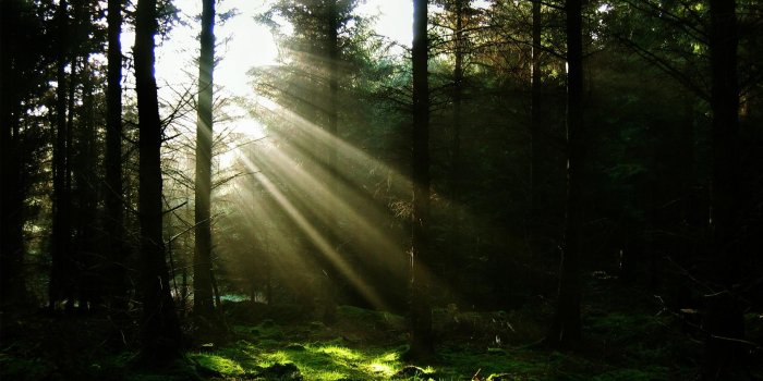 1920x1080 Sun Rays Wallpapers