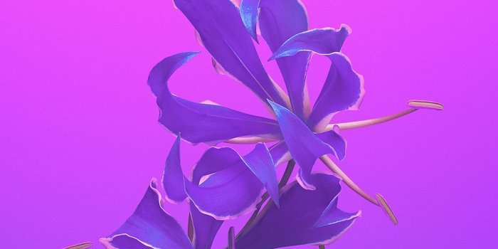 1242x2208 iPhone6papers.com | iPhone 6 wallpaper | bd19-apple-ios11-iphonex