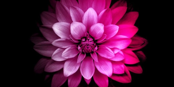 1080x1920 wallpaper #iphone #iphonewallpaper #lockscreen #background #hd
