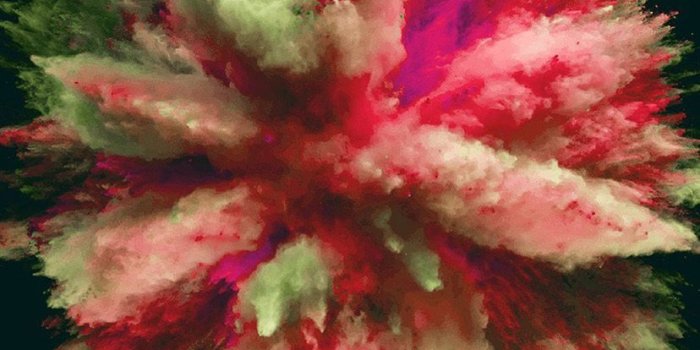 828x1792 Dark Floral iPhone Wallpapers - Top Free Dark Floral iPhone
