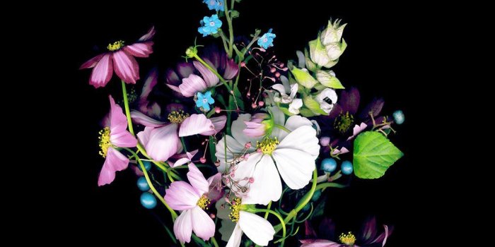 1024x1024 Real Dark Floral iPhone Wallpapers - Top Free Real Dark Floral